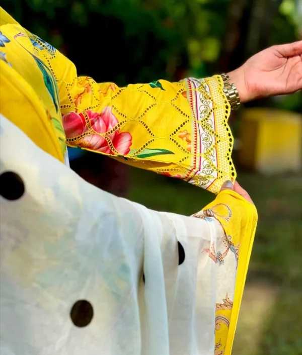 Pakistani Inspired Premium Dress - Image 2