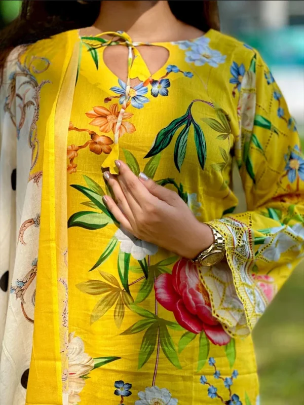 Pakistani Inspired Premium Dress - Image 4